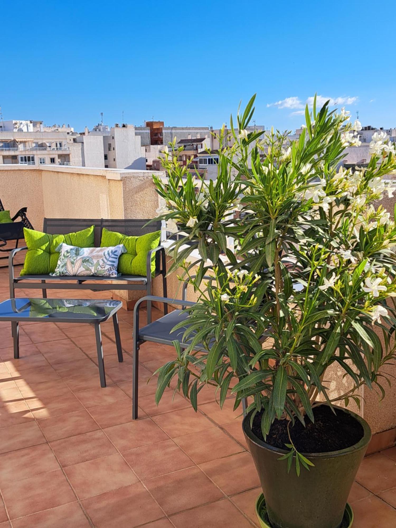 Atico Roof Top Торевьиа Экстерьер фото